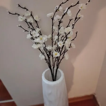 Finestra Sulle Valli * Luserna San Giovanni