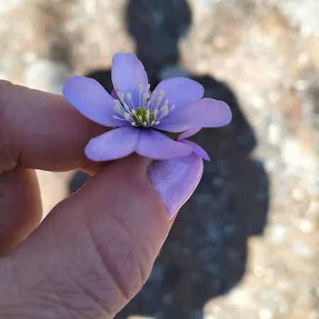 Finestra Sulle Valli *