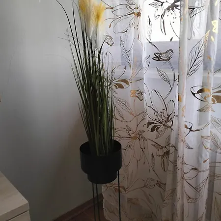 Finestra Sulle Valli Apartamento Luserna San Giovanni